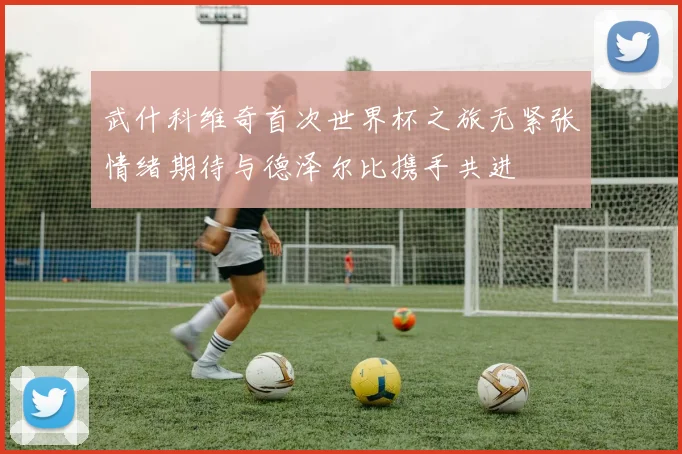 武什科维奇首次世界杯之旅无紧张情绪期待与德泽尔比携手共进